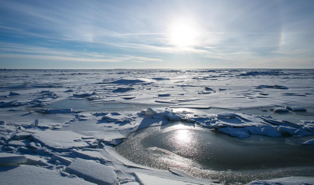 Aventure polaire : pourquoi la croisière en Antarctique est un voyage unique au monde ?