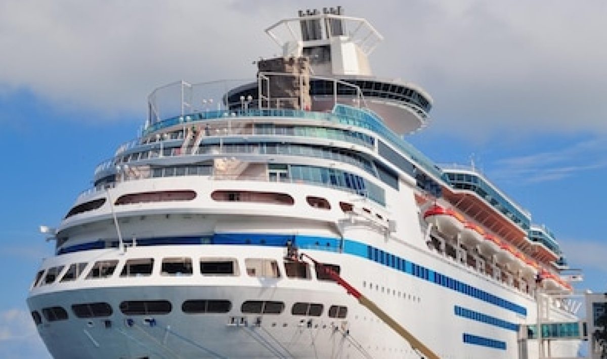 Préparer votre animal pour une croisière : conseils pratiques et précautions à prendre